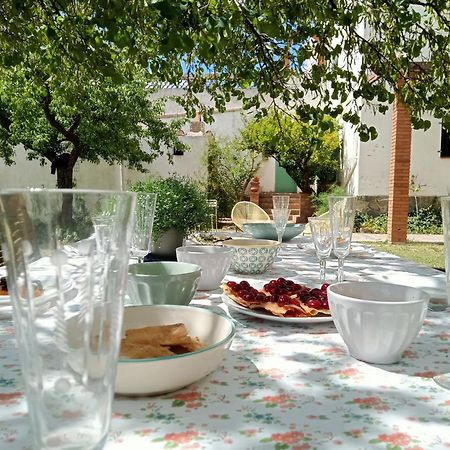 Les Violetes Villa Serra de Almos Exterior photo